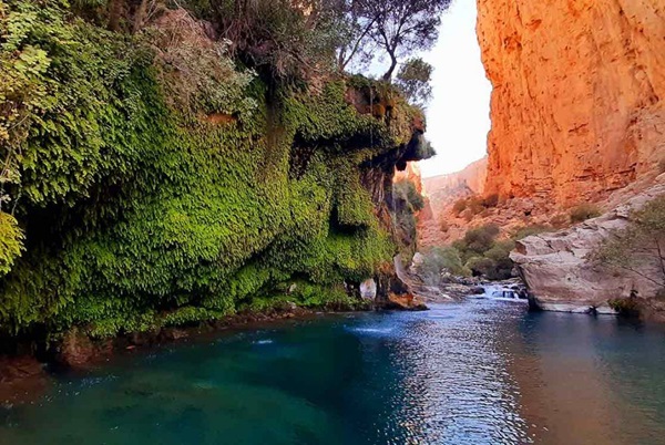 لیست لوازم طبیعت گردی برای سفر به شیراز