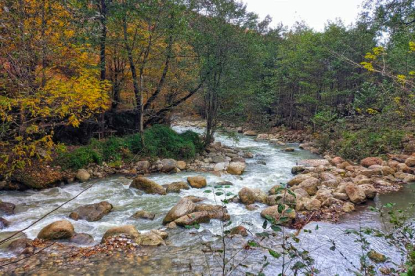 روستای زوات چالوس