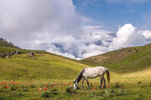 جاهای دیدنی تالش
